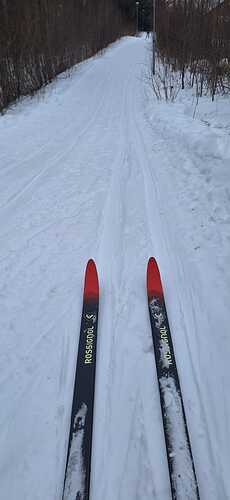 WhatsApp Image 2026-02-07 at 13.57.50