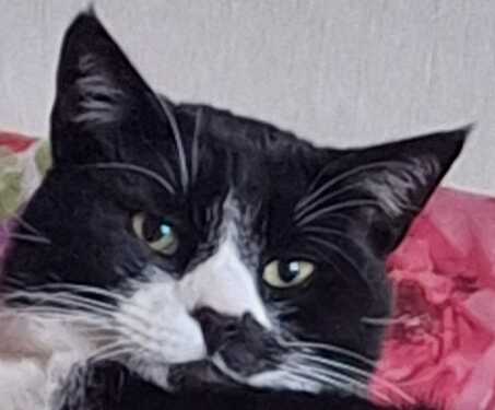 803599ef-02ec-4b99-aa95-c6aeb8374d2e